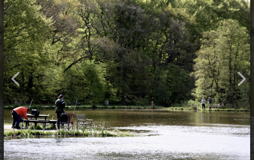 Fiskesøen ved Medestedet