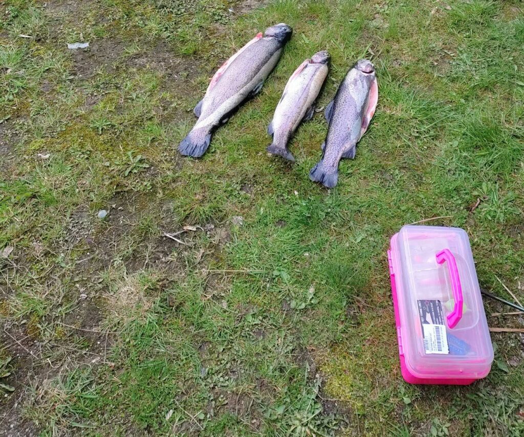 Danmarks Veteraner Kronjylland`s fisketur ved Medestedet 2026