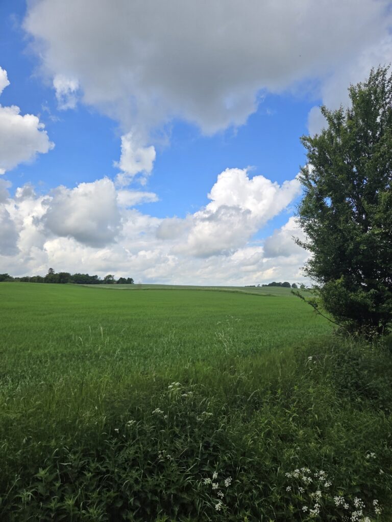 Danmarks Veteraner Kronjyllands udflugt med Veterantoget Mariager - Handest. Foto ⓒ DV-Kronjylland